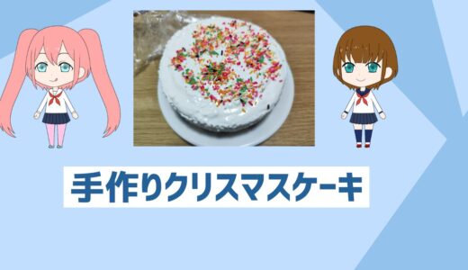 おいしさすべてに振った超手作りクリスマスケーキ！「自炊初心者でも簡単に作れる」