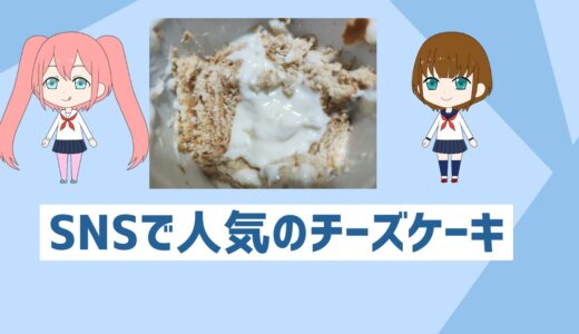 自炊初心者も簡単安い！SNSで流行りの手作りクリスマスチーズケーキの作り方！