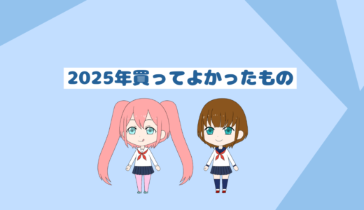 私が２０２５年これ買ってよかったなと思うもののまとめ「ダイエット編」