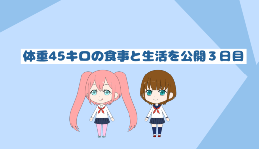 1600kcalのダイエット食事を公開！45キロ㎏まで痩せた3日目「PFCバランス付き」